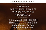 Miraden Florale Modern Serif Font, a Serif Font by Storytype Studio (Thumbnail 14 of 15)