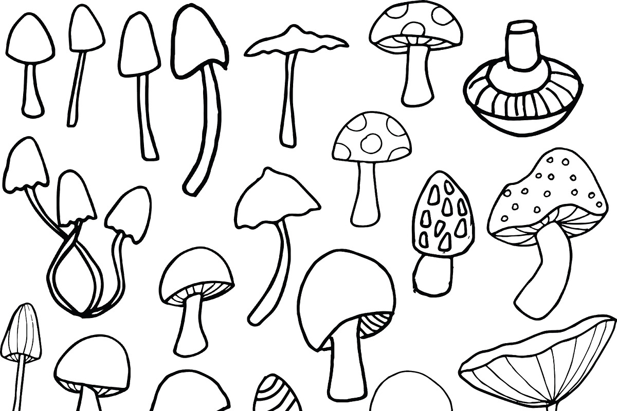 Mushrooms - color and outline, an Illustration by Valeri Nick (Photo 5 of 6)
