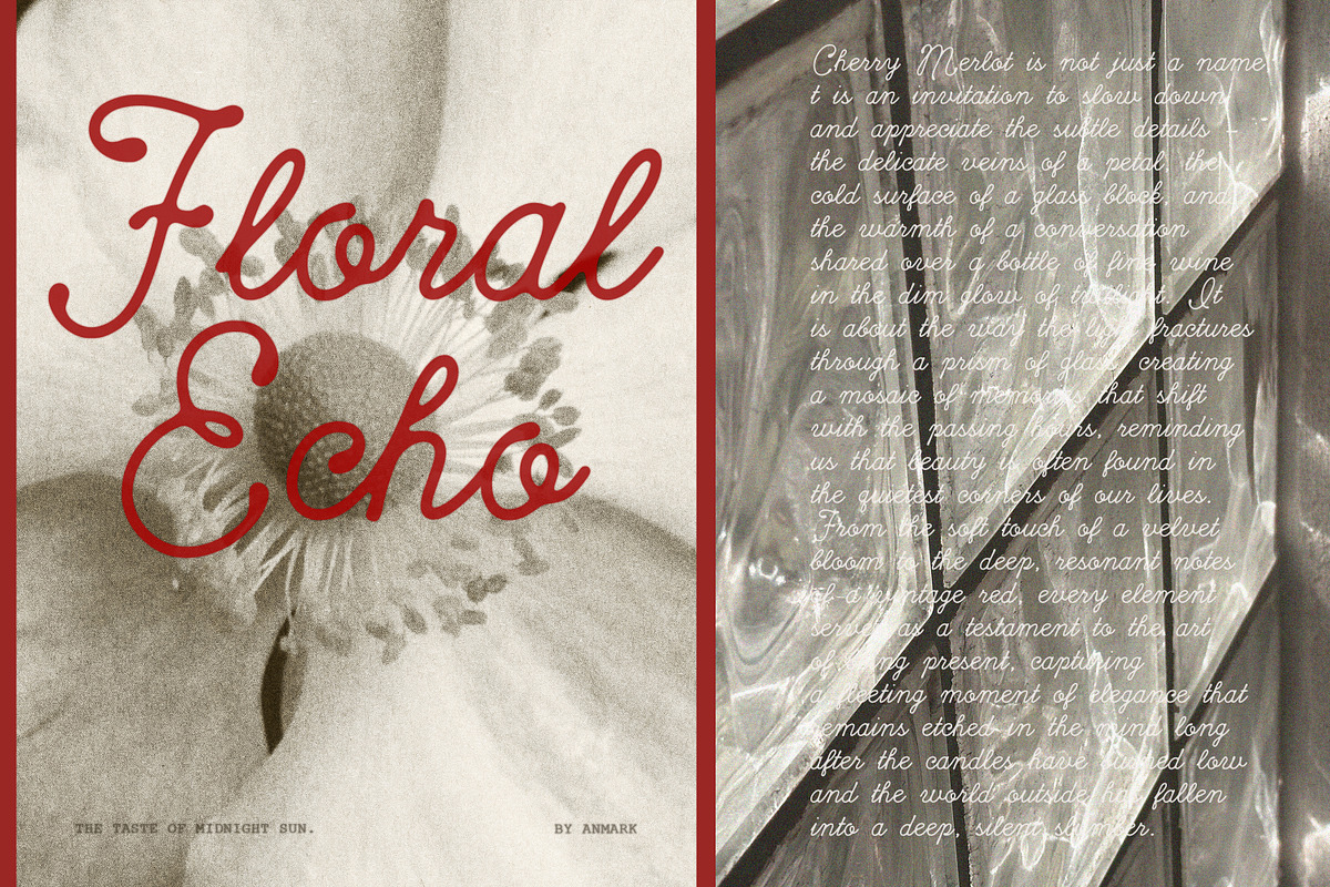 Cherry Merlot Vintage Ink Script, a Script Font by AnMark (Photo 15 of 16)