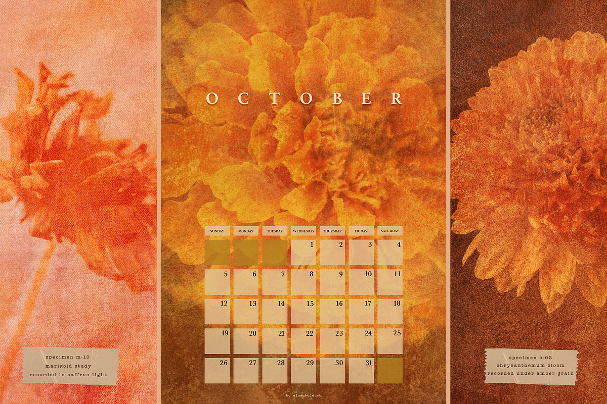 FloraAmber · Botanical Backgrounds, a Background Graphic by alonahaidash (Photo 7 of 16)