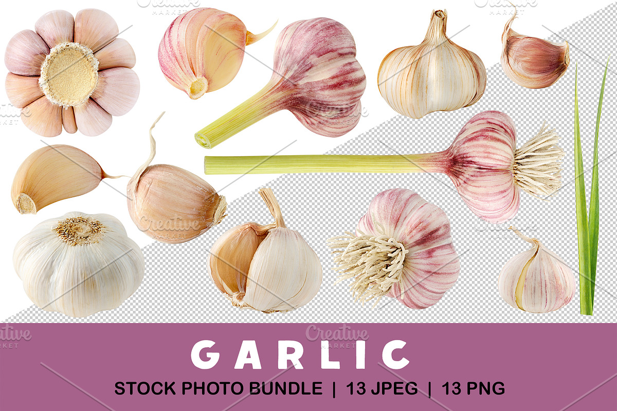 Fresh garlic heads and cloves