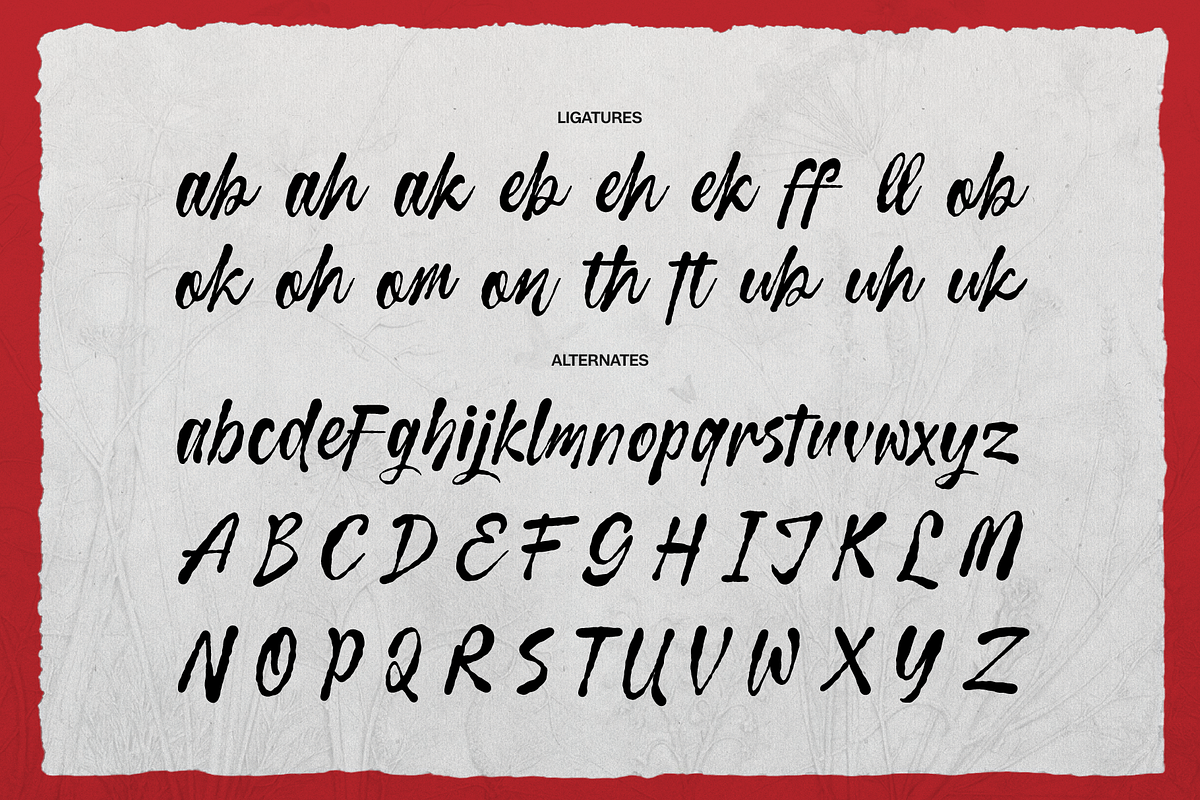 Curiousity Reuis Handwritten Script, a Script Font by gracetype_studio (Photo 11 of 11)