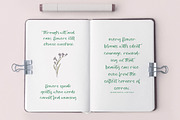 Blooming Harvest Modern Handwritten, a Script Font by stylishtype.co (Thumbnail 5 of 15)