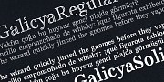 Galicya, a Serif Font by GRIN3 (Nowak) (Thumbnail 1 of 3)