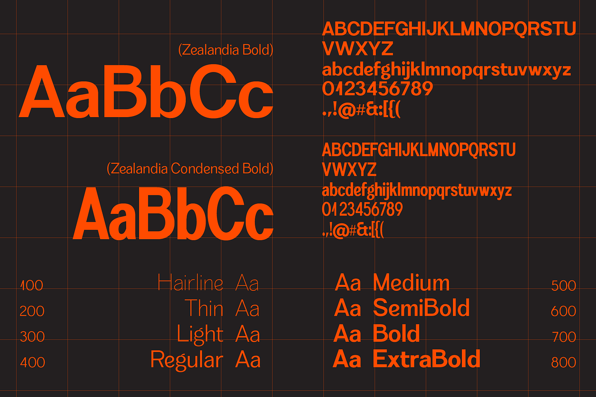 Zealandia - Sans Serif, a Sans Serif Font by Prominent & Affluent (Photo 4 of 10)