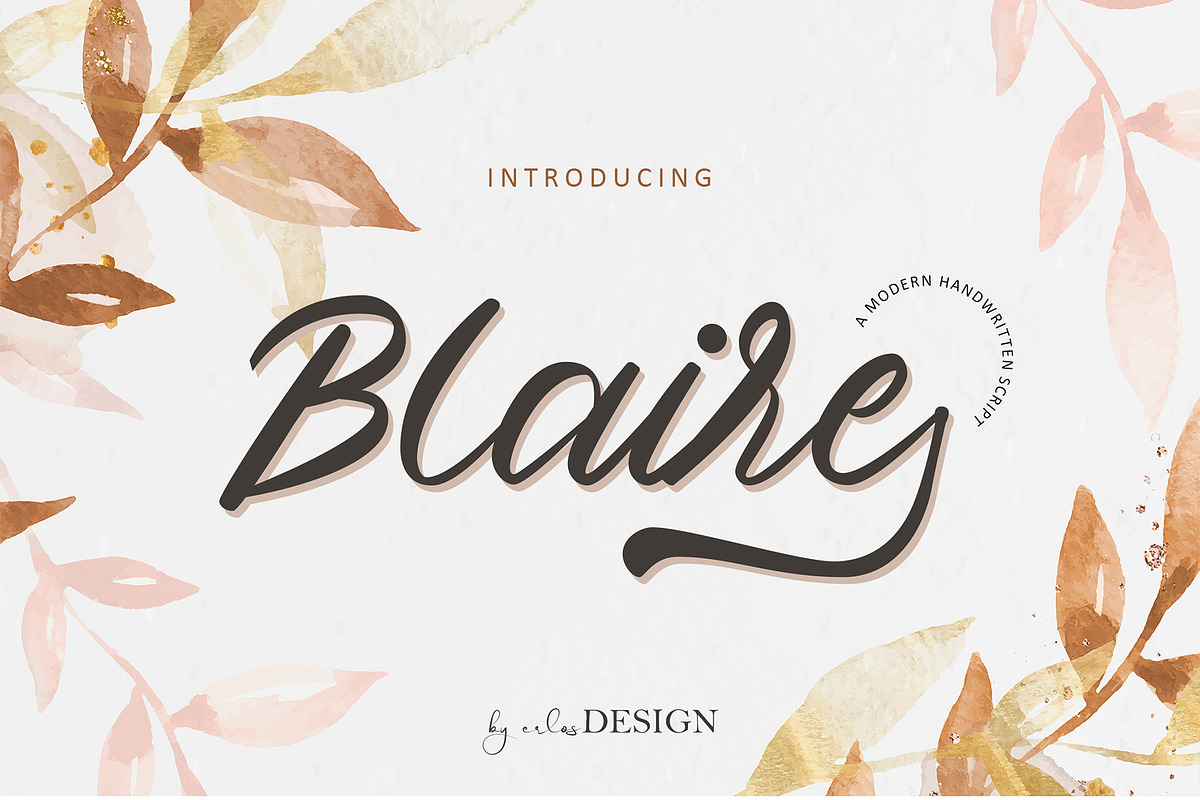 Blaire - Handwritten Font, a Script Font by erlosDESIGN (Photo 1 of 12)