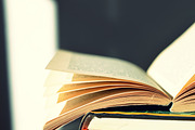 Reading A Book, a School & Education Photo by SunshineSites (Thumbnail 2 of 2)
