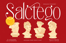 Salctego Modern Luxury Display