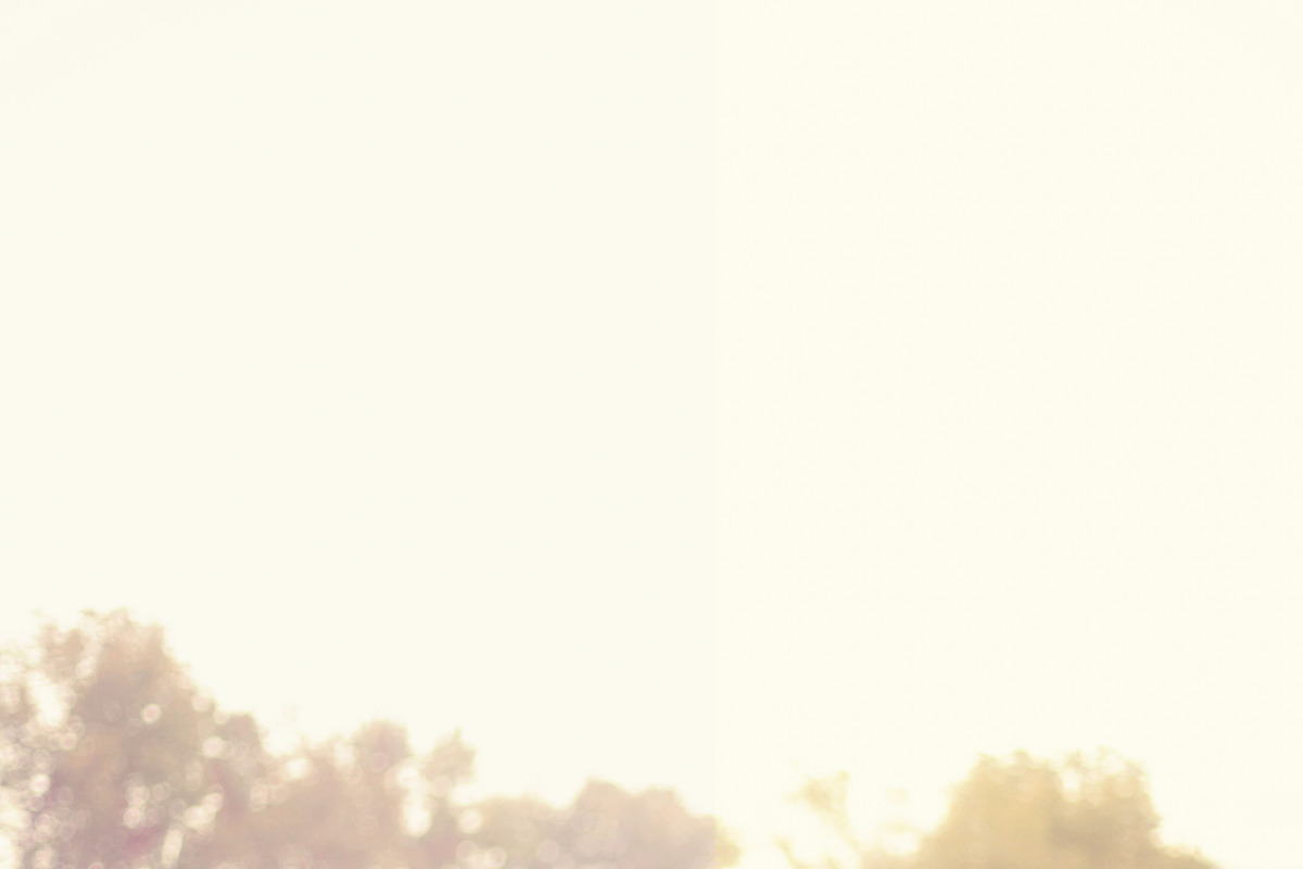 10 Gold Light Lightroom Presets, an Action Add-On by Winsome Effects & Co. (Photo 3 of 4)