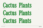 Dot Gain TM – Cozy Serif, a Serif Font by Type Mania (Thumbnail 5 of 10)