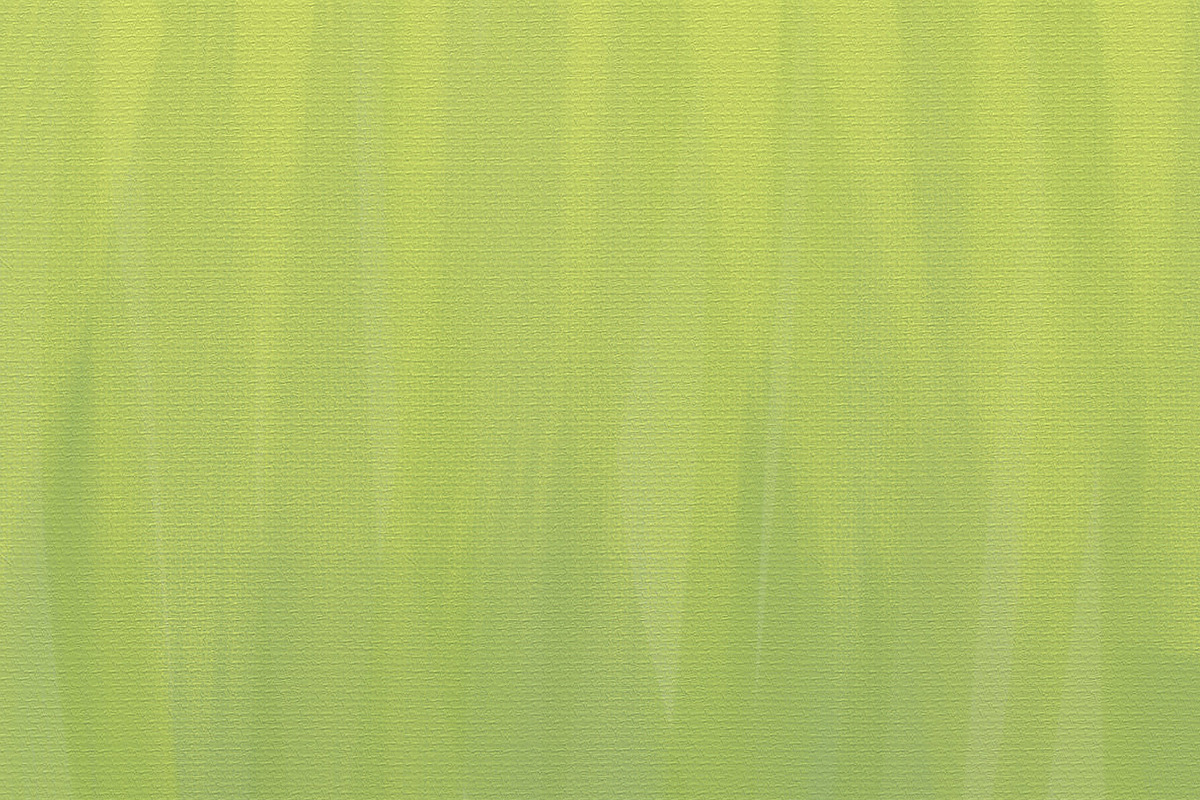 6 Canvas Backgrounds preview 3