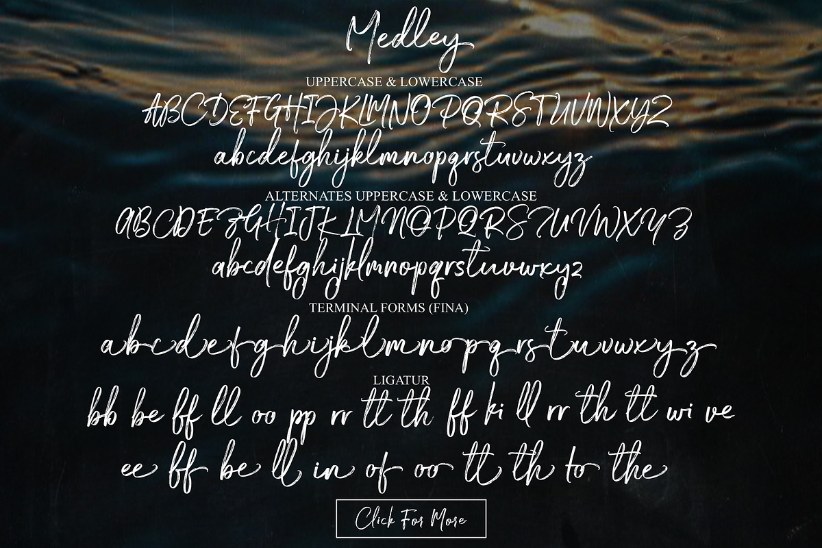 Medley Script preview 4