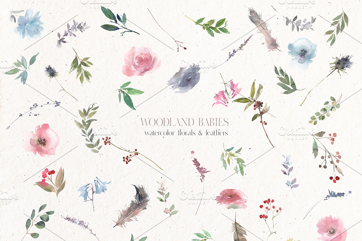 Woodland Babies Wild Animals Clipart, an Animal Illustration by whiteheartdesign (Photo 27 of 28)