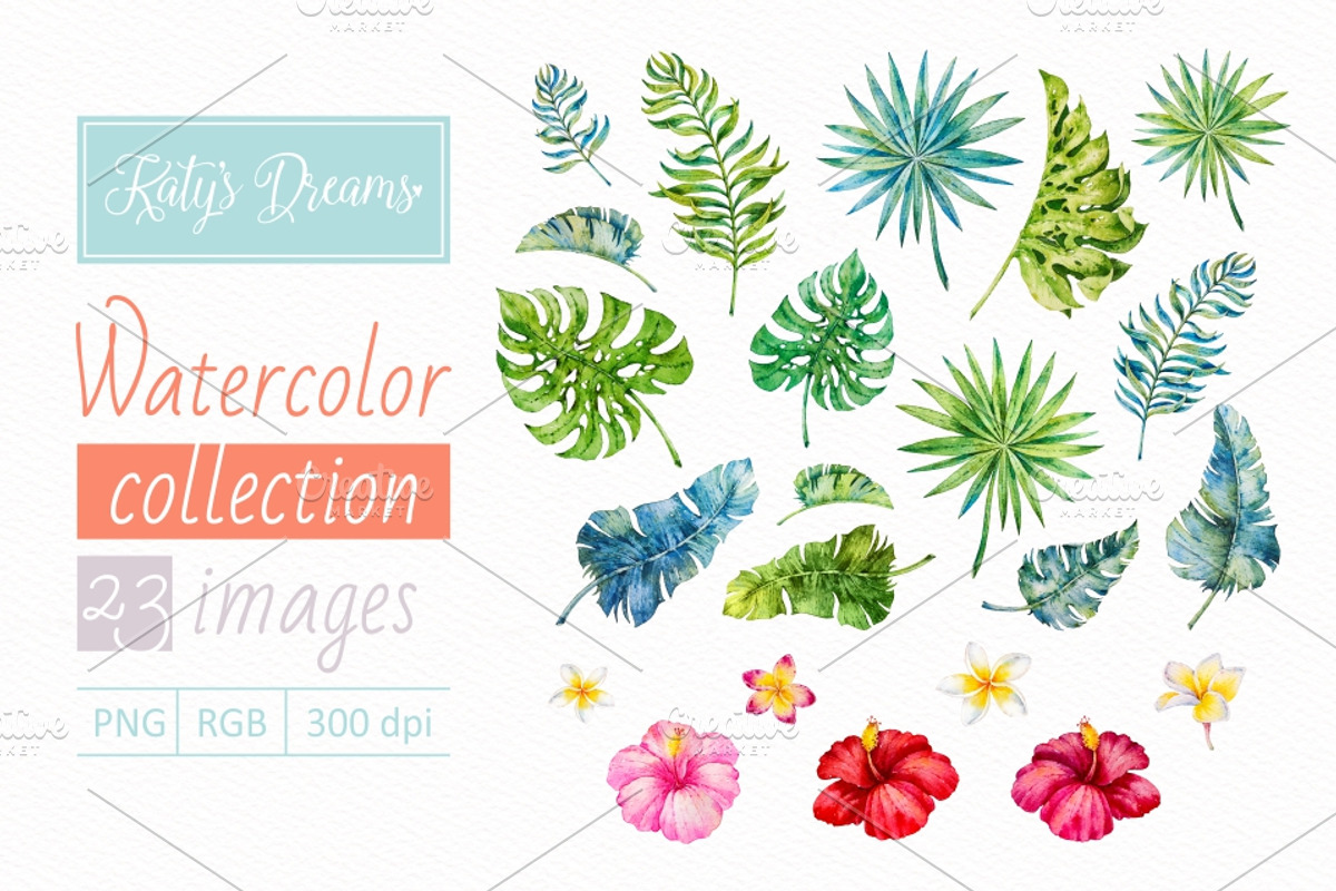 Tropics.Watercolor collection, an Animal Illustration by Ekaterina Mikheeva (Photo 2 of 7)