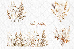 Cotton Clipart Boho Pampas Grass Png