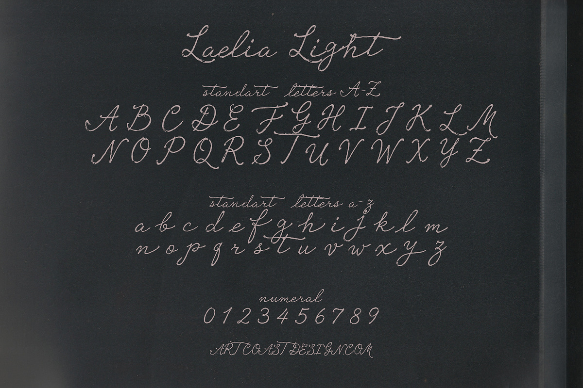 Laelia Font Family | Elegant Script, a Script Font by nadispasibenko (Photo 7 of 11)