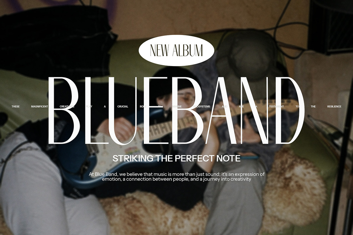 Molina Modern Sans Serif Font, a Serif Font by Graphicxell (Photo 4 of 8)