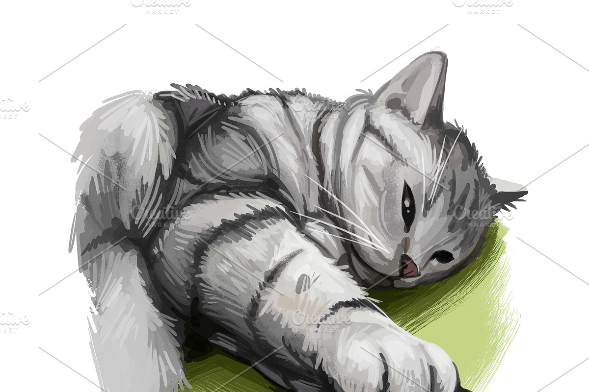 Cats and Kittens, 160 png breeds, an Animal Illustration by Dneprstock (Photo 6 of 11)