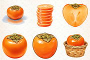 Watercolor Persimmon Fruit Clipart, an Illustration by Libby Wishes (Thumbnail 2 of 5)