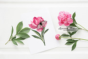 Peonies with Butterflies, an Illustration by Leonaa art (Thumbnail 5 of 10)