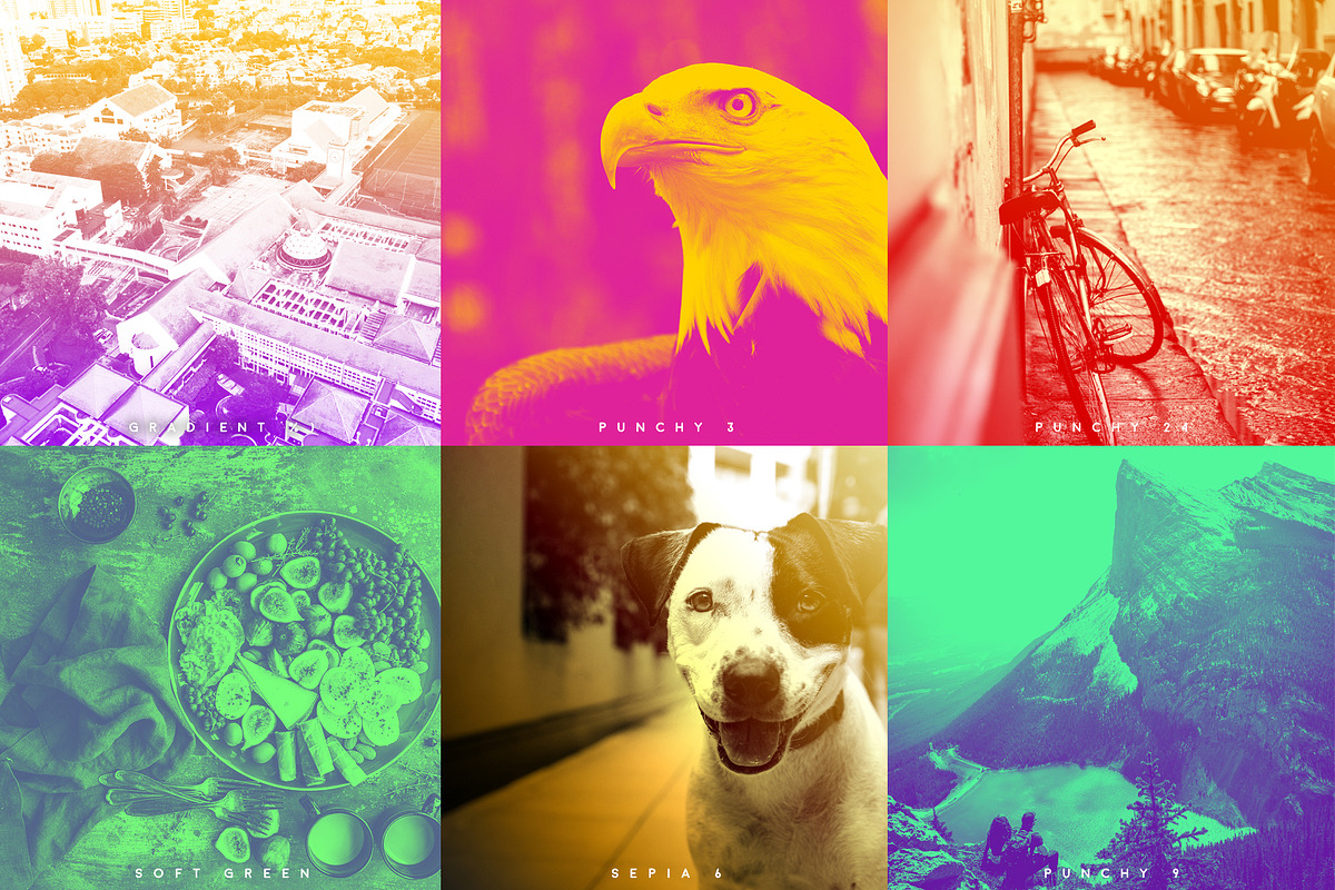 Duotone Magic- Photoshop actions, an Action Add-On by Pulp Creative Studios (Photo 7 of 8)