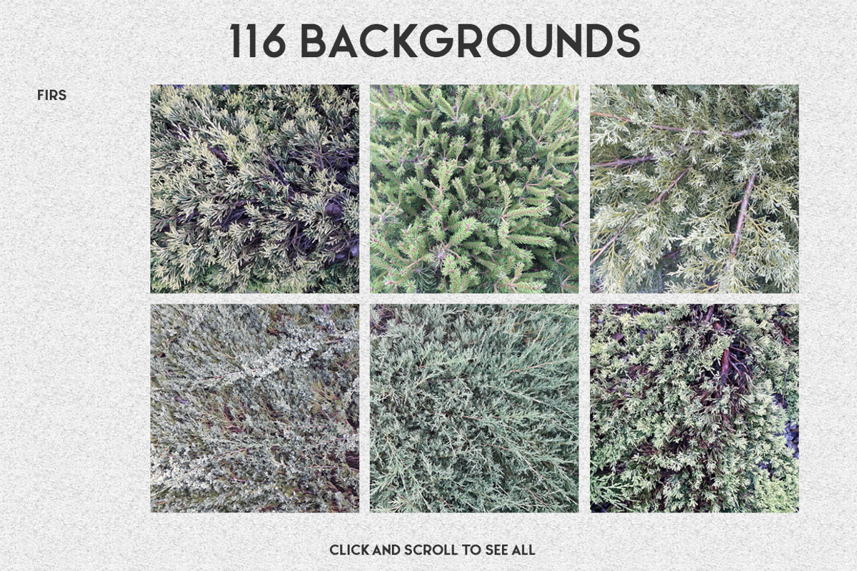 Natural Background Post Generator, a Social Media Template by WBS Design (Photo 4 of 11)