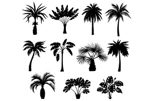 Black Palm Trees Silhouettes