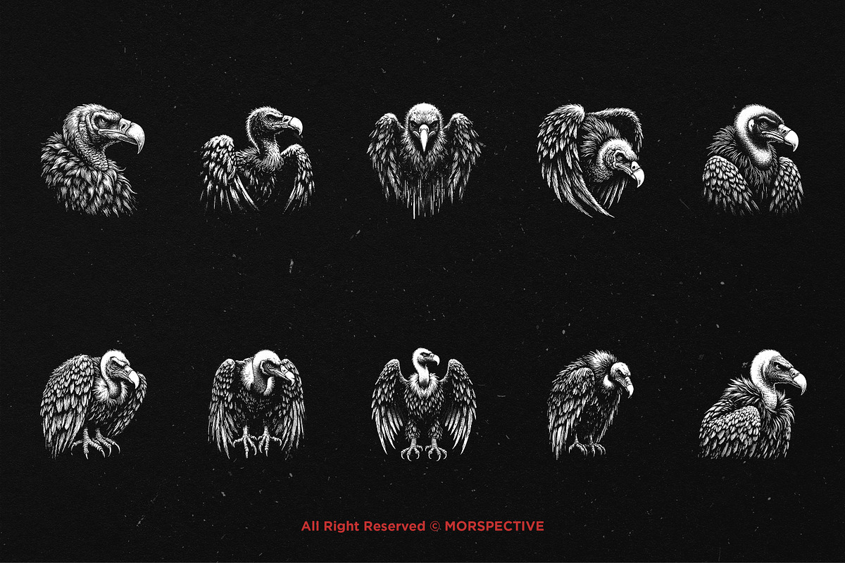 10 Bundle Dark Art Condor Bird, an Illustration by Morspective (Photo 6 of 7)