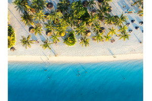 Aerial view of palms, umbrellas on, a Nature Photo by den-belitsky