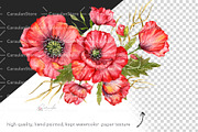 Red Poppy Watercolor Clipart, a Decorative Illustration by CaraulanStore (Thumbnail 9 of 11)