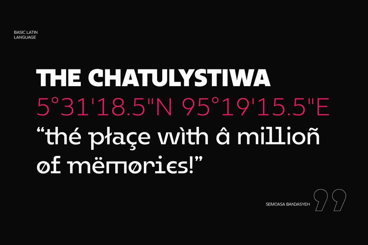 Neue Reman Grotesk, a Sans Serif Font by Propertype (Photo 13 of 14)