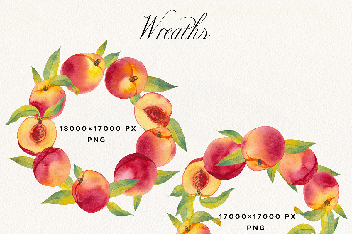 Watercolor Peach Fruits Clipart, a Food Illustration by Olga Begak Art & Design (Photo 6 of 7)