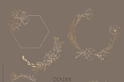 Floral Line Art & Botanical Clipart, an Illustration by January Bloom (Thumbnail 12 of 13)