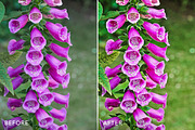 HDR PRO Photoshop Actions, an Action Add-On by FilterGrade (Thumbnail 3 of 8)