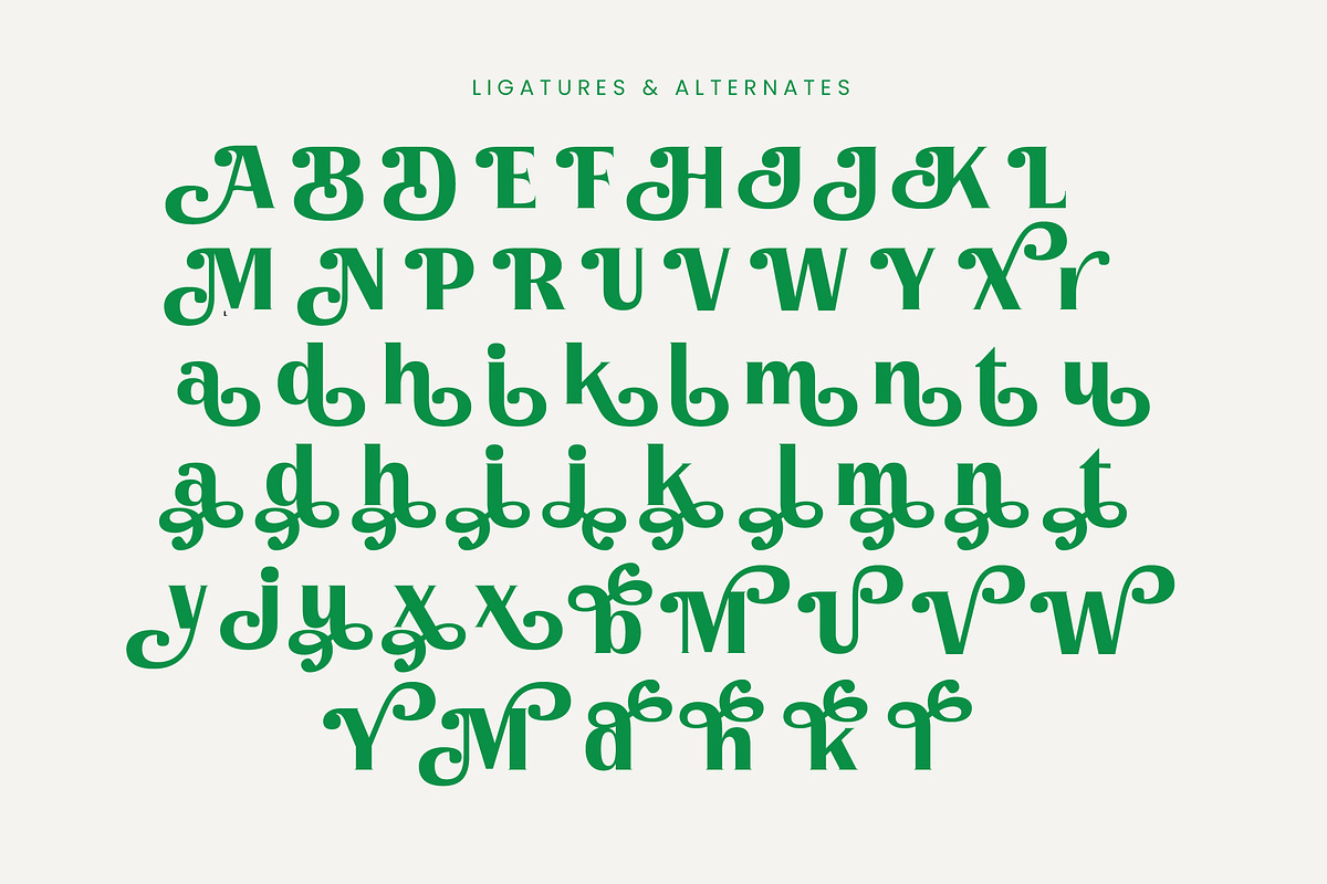 Agorey Dalling Groovy Retro Serif, a Serif Font by timelesstype.co (Photo 19 of 20)