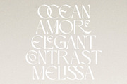 Perennial - Elegant & Ligature Sans, a Sans Serif Font by Mikhail Kitsune (Thumbnail 4 of 9)