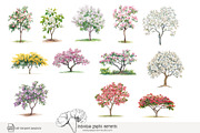 100 watercolor floral trees clip art, a Seasonal Illustration by Poppy Lane Studio (Thumbnail 11 of 12)