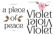 CARNELIAN - Display Variable Type, a Sans Serif Font by Artflorara (Thumbnail 9 of 15)