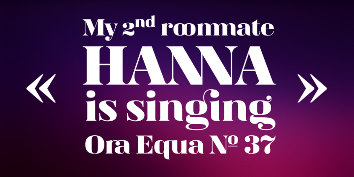 Magnel, a Serif Font by Eimantas Paskonis (Photo 3 of 6)