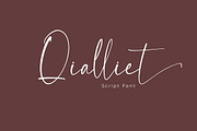 Qialliet Minimalist Script Font, a Script Font by NTC Graphic (Thumbnail 1 of 9)