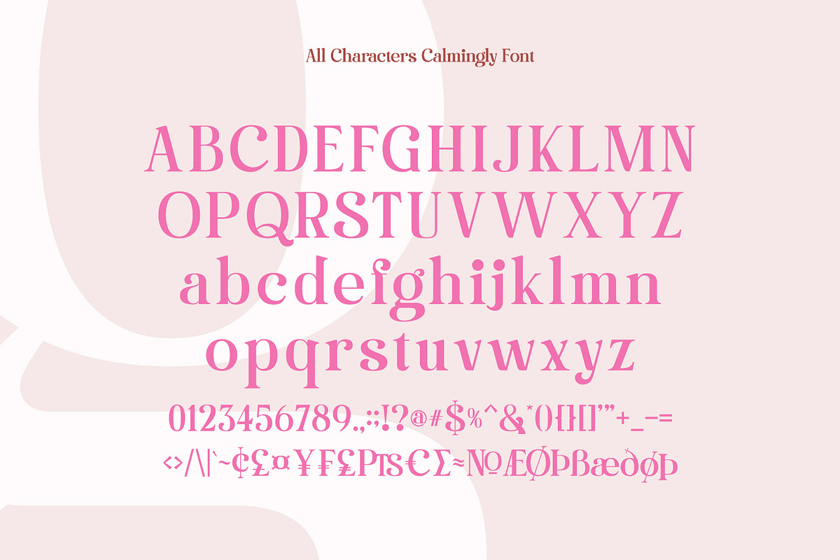 Calmingly, a Serif Font by Nathatype (Photo 8 of 10)