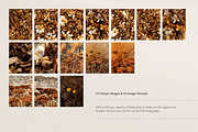 Harvest Rituals | Autumn Images, a Background Photo by bron.alexander (Thumbnail 9 of 12)
