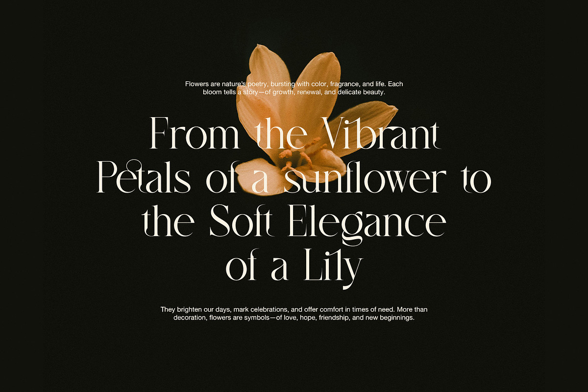 Galista Elegant Serif Font, a Serif Font by Graphicxell (Photo 6 of 8)