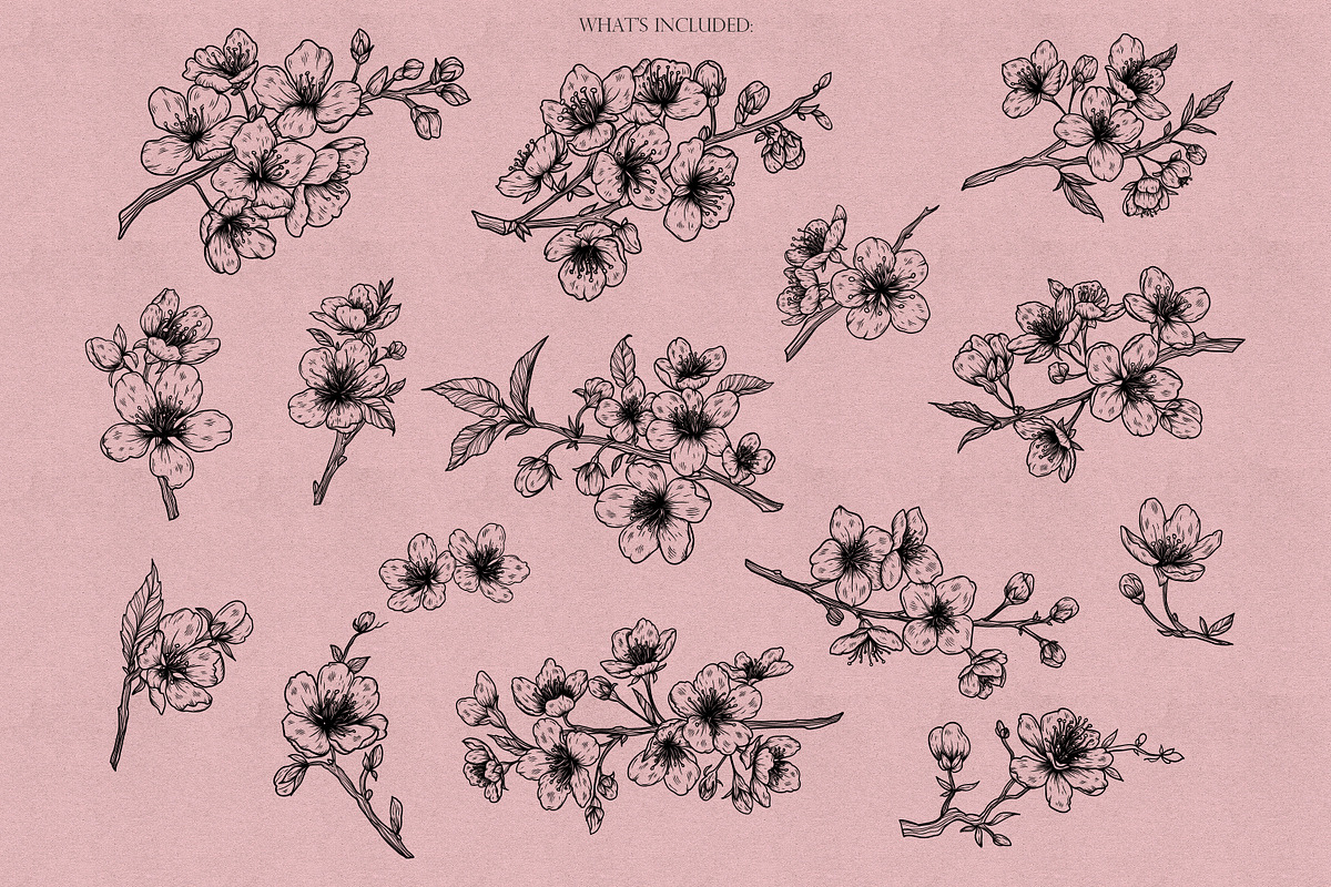 Sakura Procreate Stamps, a Brush Add-On by Dervik Art Store (Photo 3 of 7)