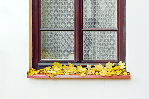Window and maple leaves at autumn, an Architecture Photo by BOOCYS