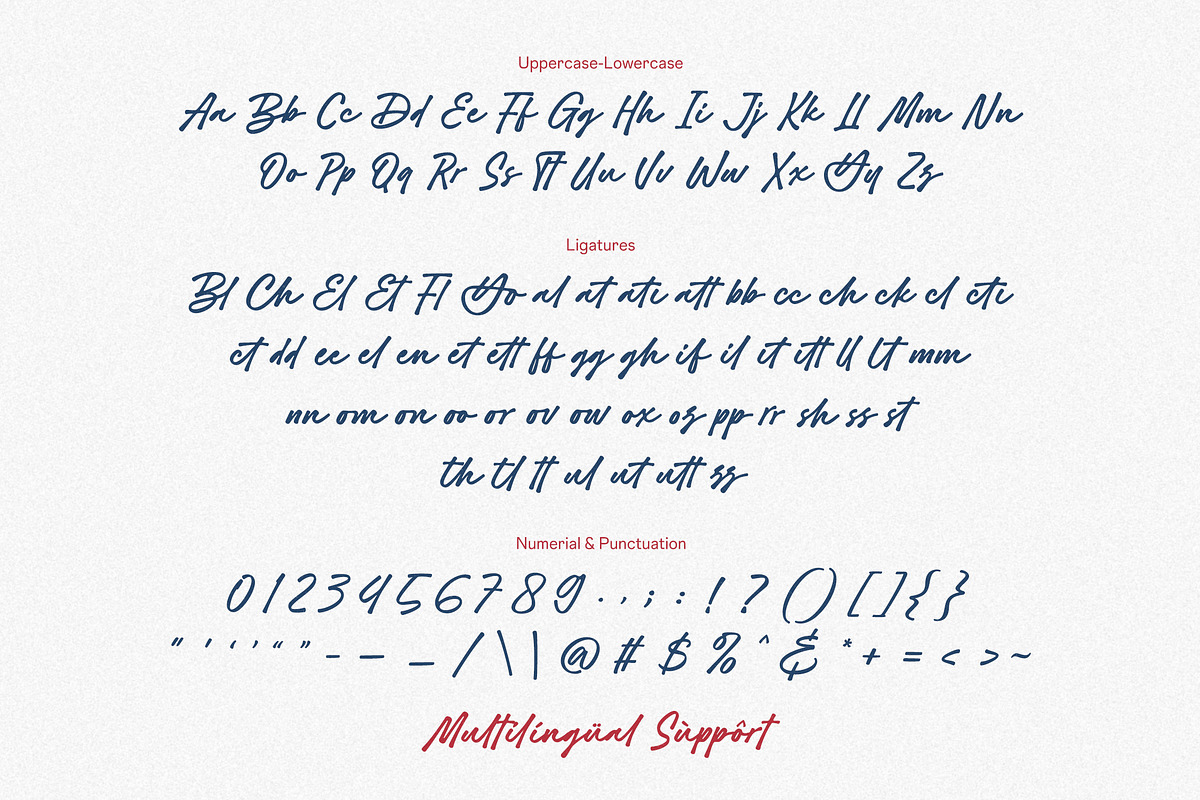 Blushy Charm - Bold Script Font, a Font by Subectype Studio (Photo 14 of 14)