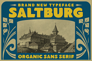 Saltburg - Organic Sans Serif