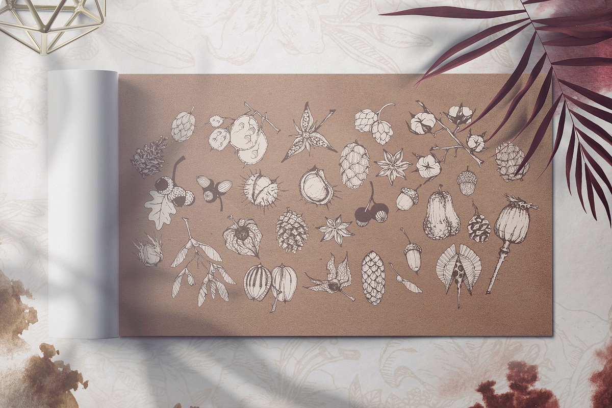 Touch of Nature Collection, a Decorative Illustration by Michael Rayback Design (Photo 6 of 20)