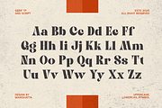 Qeica - Font Duo Typeface, a Serif Font by MaikoHatta (Thumbnail 5 of 10)