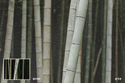 TEXTURIZER Grainy Photoshop Effect, a Templates & Theme by velvetmade.designs (Thumbnail 2 of 14)